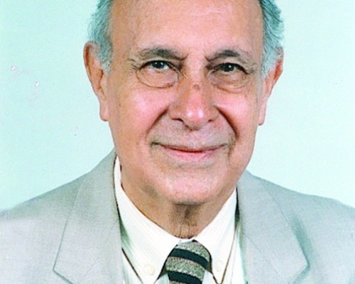 wadei-pal2